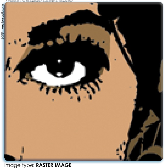 raster_vectorvault.jpg
